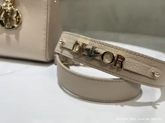 Tony Luxuries D-Sire Lady diro ABCdiro My Bag-26*15*8CM 0421
